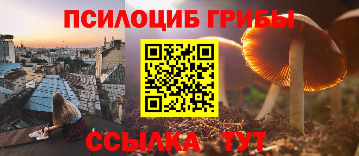 Псилоцибиновые грибы Psilocybine cubensis Гулькевичи