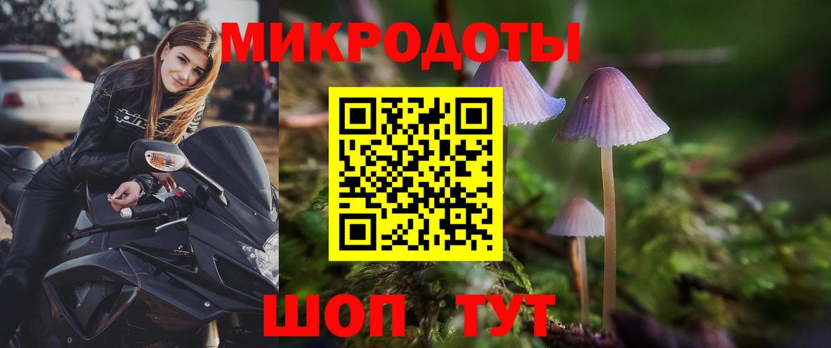 Гулькевичи  Псилоцибиновые грибы прущие грибы  Псилоцибиновые грибы Psilocybe  Вход с VPN 